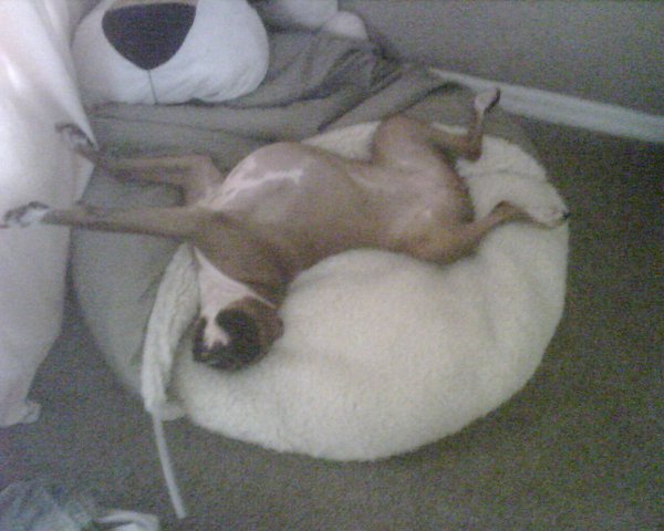 Darlin in her bed