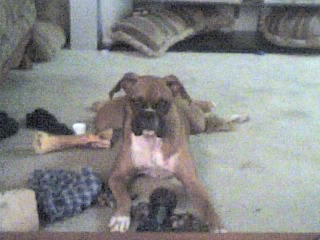 Darlin sittin pretty