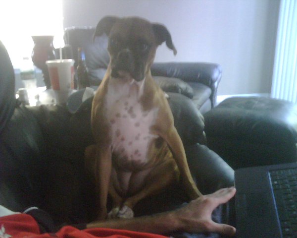 Darlin sitting like a person