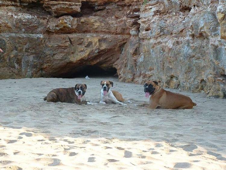 Day at the Beach