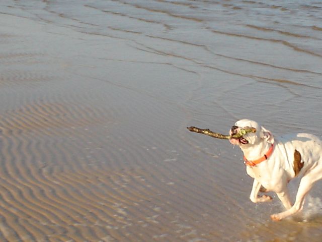 day at the beach