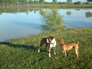 Day at the Park