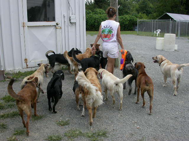 Daycare