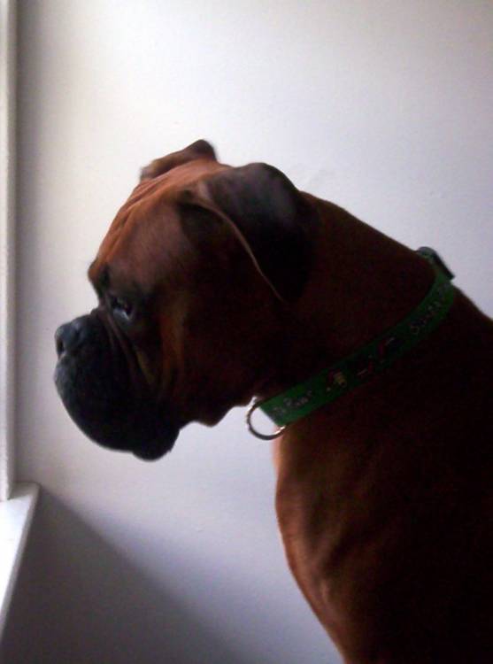 daydreaming