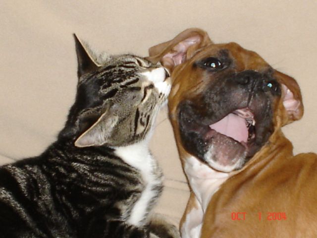 DB Tyson and Friend