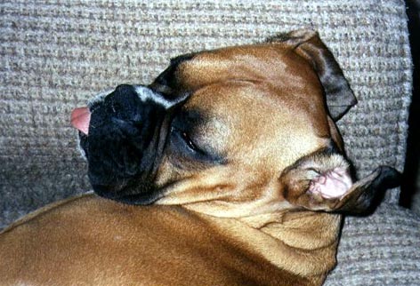 Deep sleep