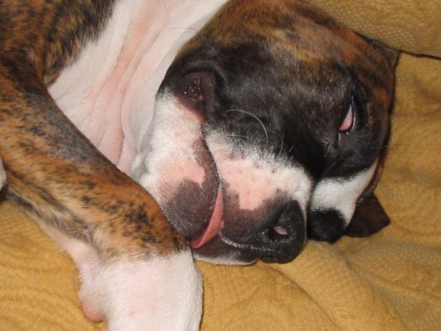 Deep Sleep