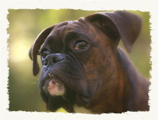 "Deep Thoughts"