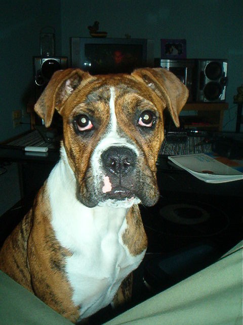 deisel at 6 months
