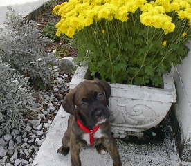 DeLa 7wks