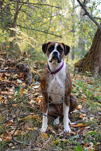 Delilah Jean <3