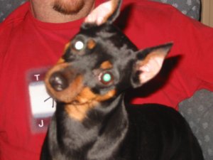 Delilah