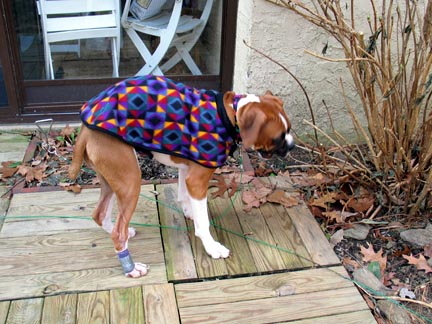 Delilah's Pretty Coat