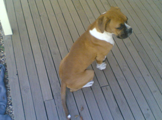 Demi 5mths