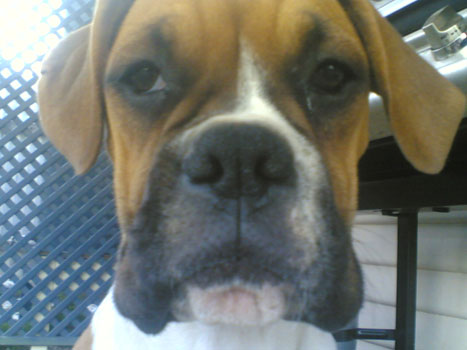 Demi 5mths
