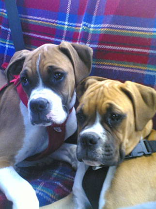 Demi and Rory 5mths