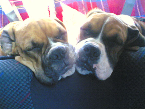 Demi and Rory 5mths
