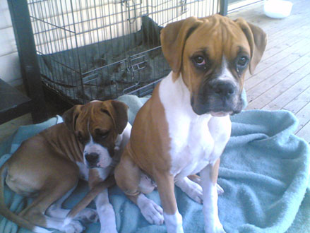Demi and Rory 5mths