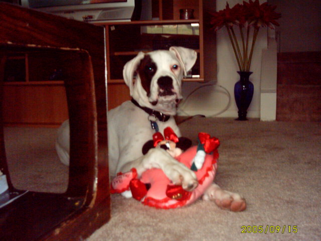 Demps_and_minnie