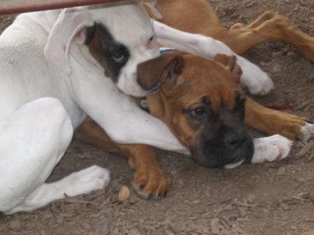 Dempsey and Lucy