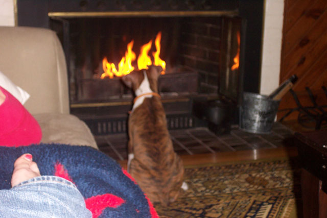 Dempsey by the Fire