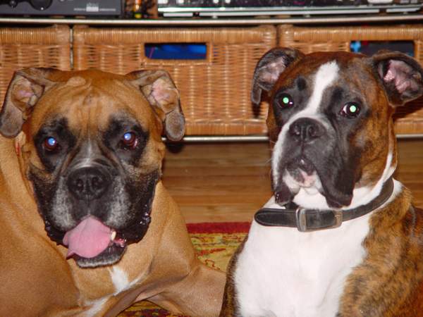 Dempsey & Hummer