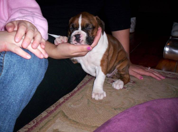 Denali-5wks_10_