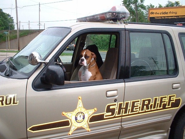 Deputy Boxy!