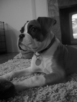 Deuce 12 weeks