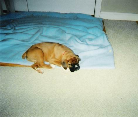 Deuce 8 wks