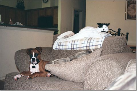 Deuce and Squirt sharing the chair