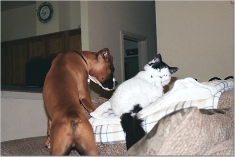 Deuce checking Squirt out