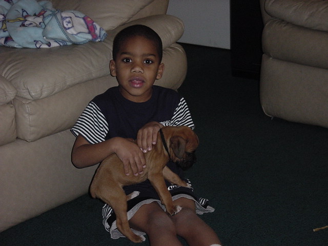 Devon and Dexter