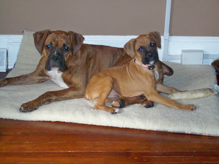 Dex was sooo small!
