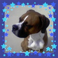 Dexter