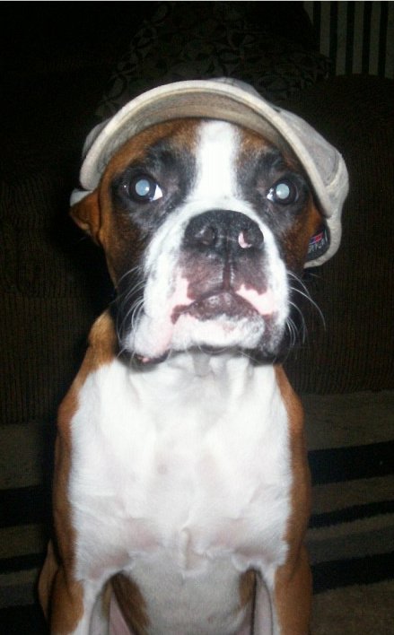 Dexter
