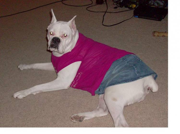 Dezzi doing her best "Me" impression.