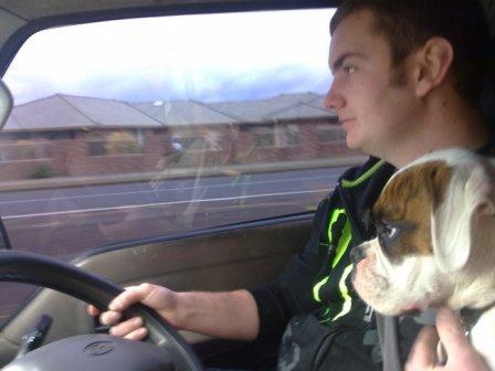Diablow Driving