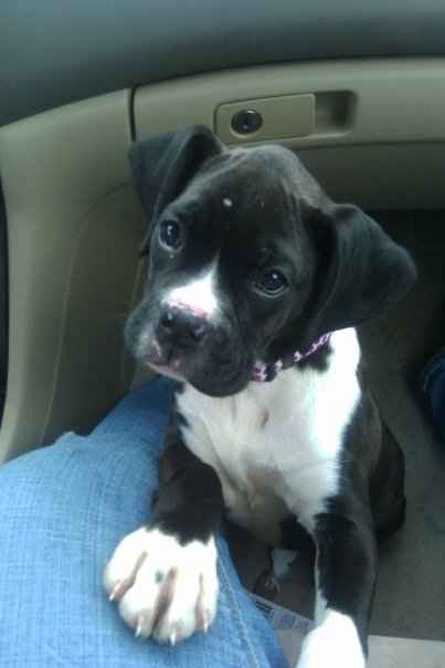Diamond "Indy" Ruff