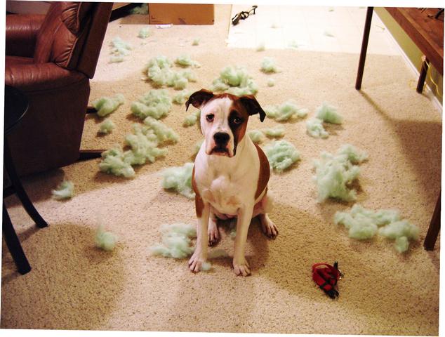 Did I do that?