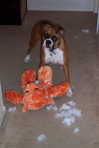 Did I do that?