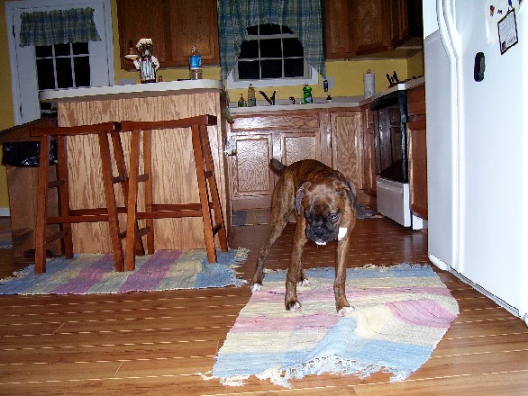 Did I do that?