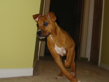 did someone just say supper...WAIT!! i'm on my way
