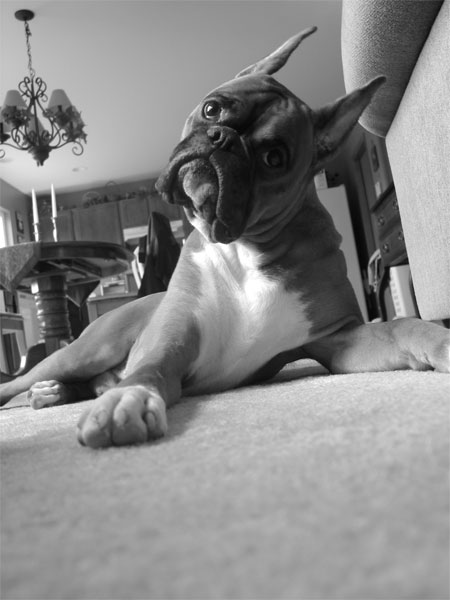 Did someone say 'dinner'?