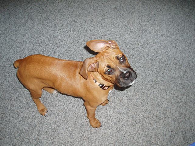 Did you say something?!?!?