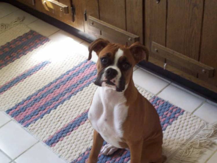 Did you say treat...