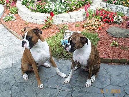 Did you see that big bone over there?