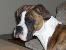 Diego 6 months