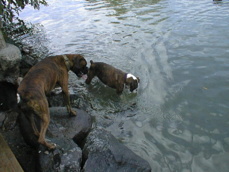 Diego & Bailey