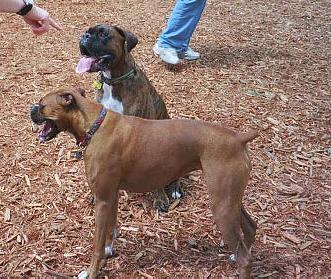Diego & Madison